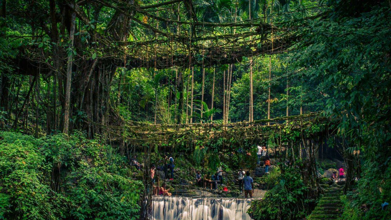 Meghalaya